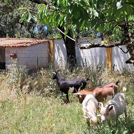 Sol Lua Apt Apartmán